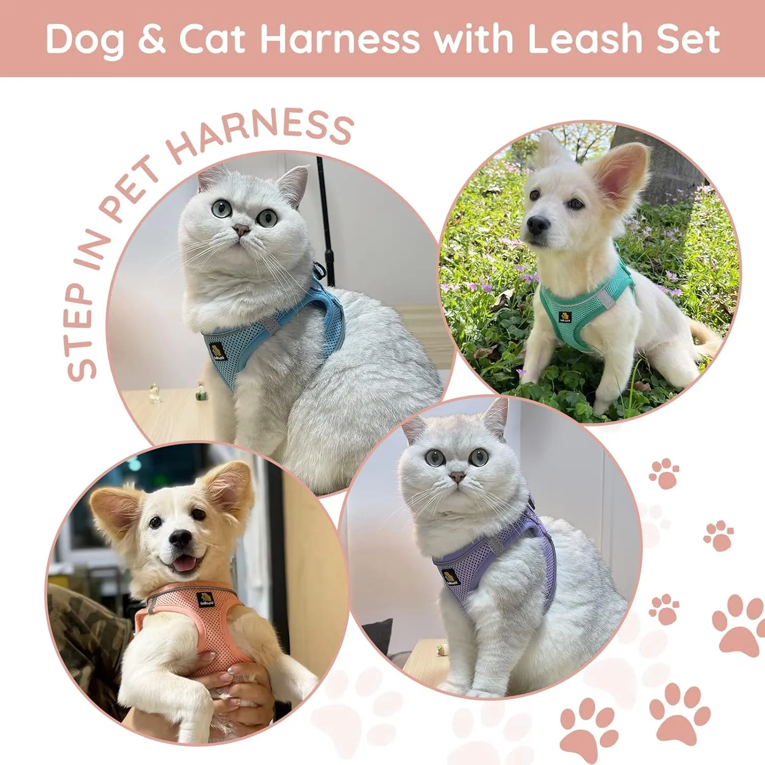 BELLA & PAL Puppy Harness with Leash Set, Dog Harness for Small Dogs No Pull, Dog Leash for Small Dogs, Step in Harness for Extra Small Dogs, Pink Harness, S