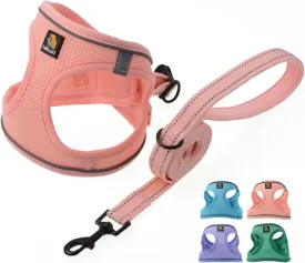 BELLA & PAL Puppy Harness with Leash Set, Dog Harness for Small Dogs No Pull, Dog Leash for Small Dogs, Step in Harness for Extra Small Dogs, Pink Harness, S