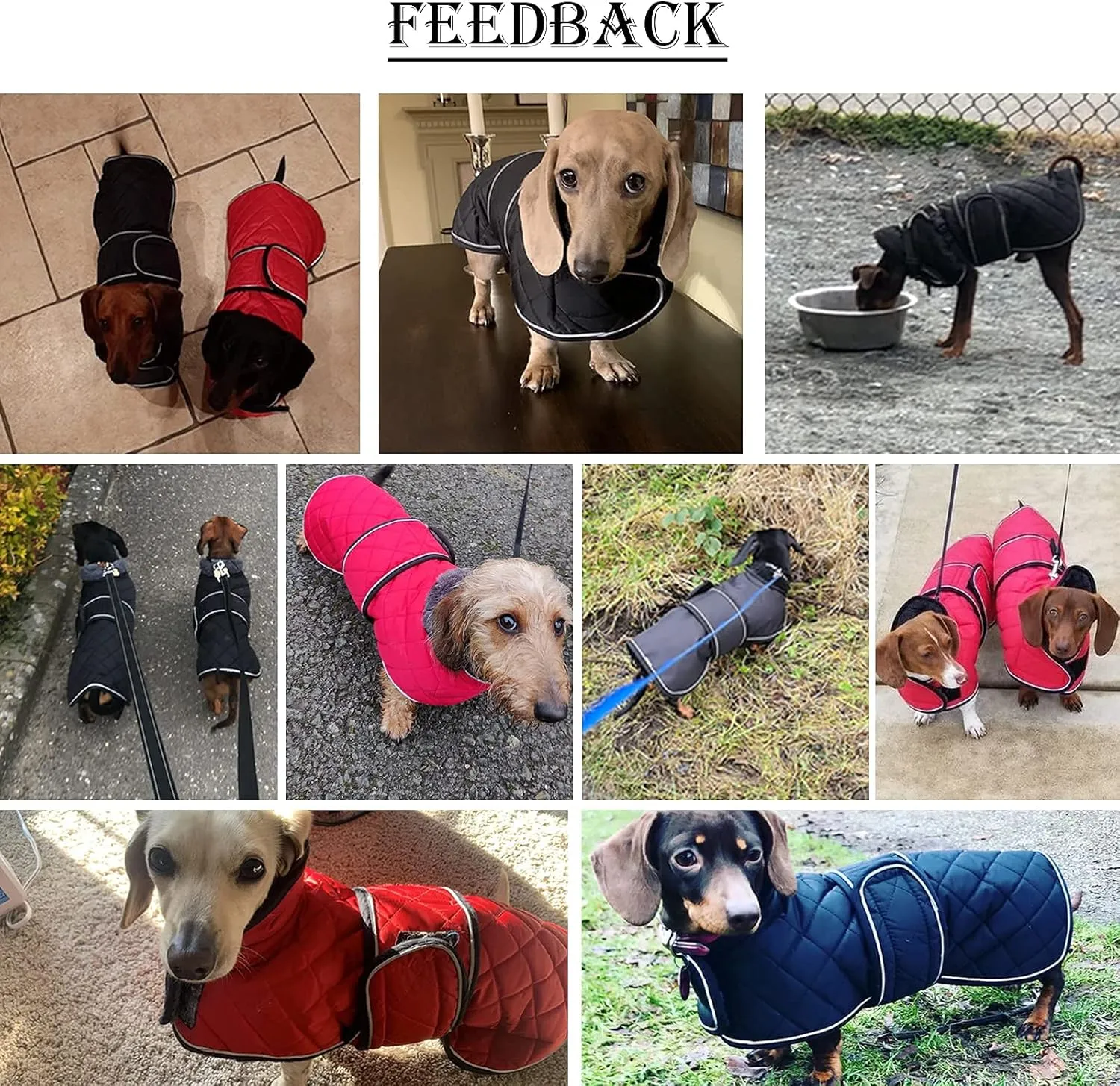 Dachshund Coat Dog Coats for Dachshunds Dachshund Winter Jacket with Padded Fleece Outdoor Dog Clothes with Adjustable Bands - Black - M