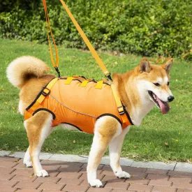Dog Lift Harness,Dog Assistance Strap,Pet Support & Rehabilitation Sling Lift,Adjustable Padded Breathable Straps for Senior,Joint Injuries,Disabled Dogs Orange L