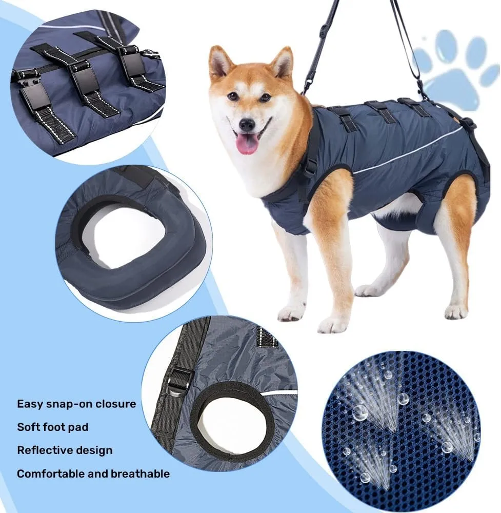 Dog Lift Harness,Dog Assistance Strap,Pet Support & Rehabilitation Sling Lift,Adjustable Padded Breathable Straps for Senior,Joint Injuries,Disabled Dogs Orange L