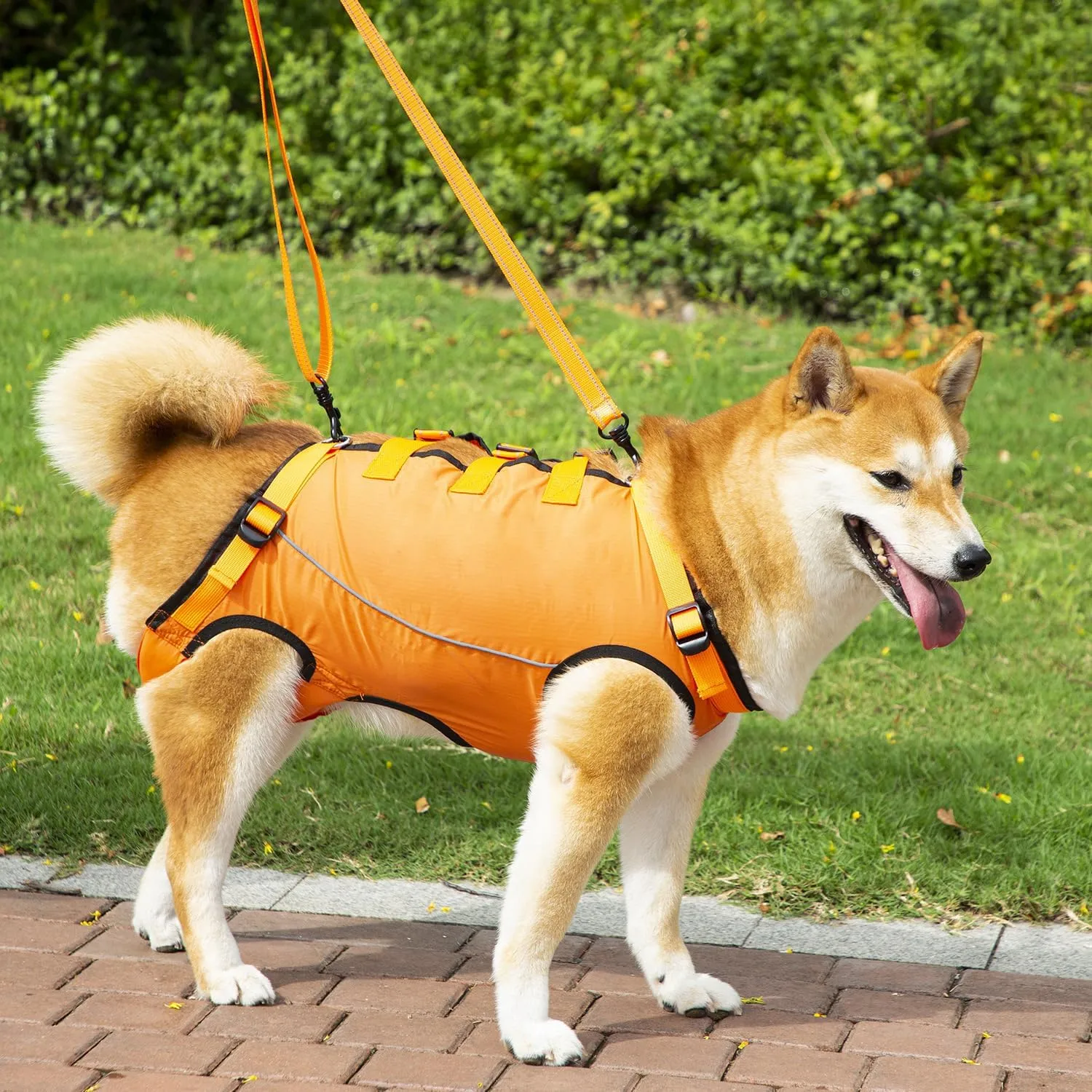 Dog Lift Harness,Dog Assistance Strap,Pet Support & Rehabilitation Sling Lift,Adjustable Padded Breathable Straps for Senior,Joint Injuries,Disabled Dogs Orange L
