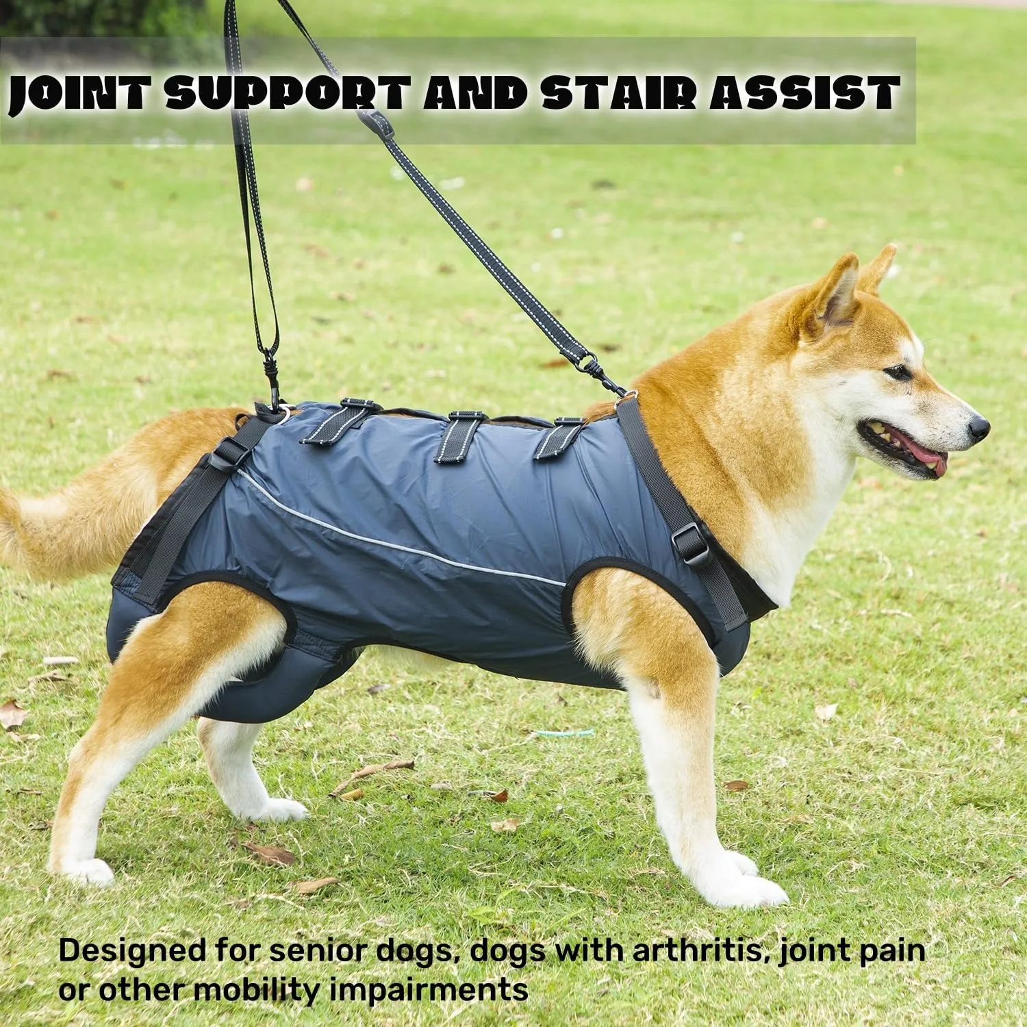 Dog Lift Harness,Dog Assistance Strap,Pet Support & Rehabilitation Sling Lift,Adjustable Padded Breathable Straps for Senior,Joint Injuries,Disabled Dogs Orange L