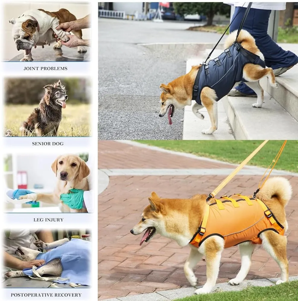 Dog Lift Harness,Dog Assistance Strap,Pet Support & Rehabilitation Sling Lift,Adjustable Padded Breathable Straps for Senior,Joint Injuries,Disabled Dogs Orange L