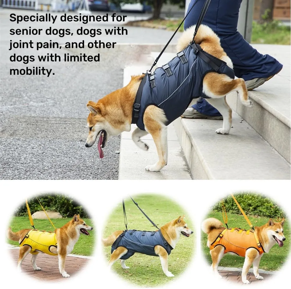 Dog Lift Harness,Dog Assistance Strap,Pet Support & Rehabilitation Sling Lift,Adjustable Padded Breathable Straps for Senior,Joint Injuries,Disabled Dogs Orange L