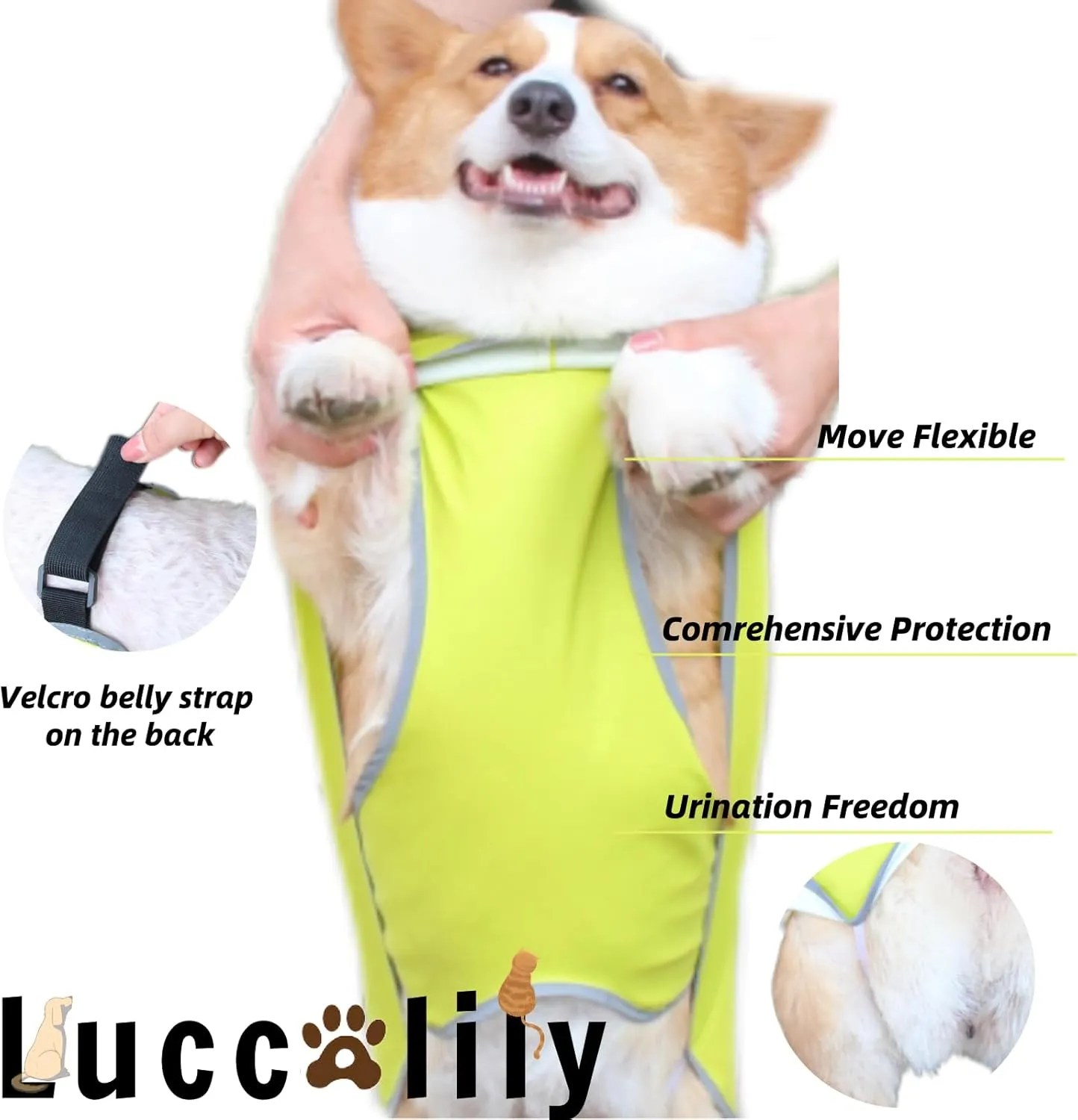 Dog Rain Jacket with Hood, Waterproof Dog Raincoat, Adjustable Belly Strap Protection, Lightweight Poncho (Small Plus, Light Green)