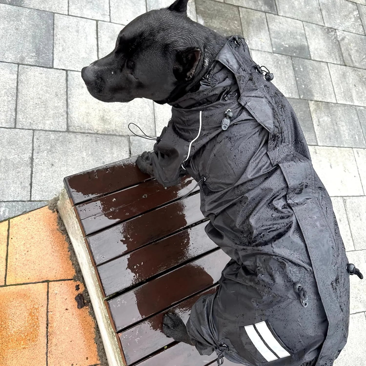Full Body Dog Raincoat Adjustable Lightweight Windproof Waterproof Overalls for Large Medium Dogs, Your Stylish Hunter, 2XS
