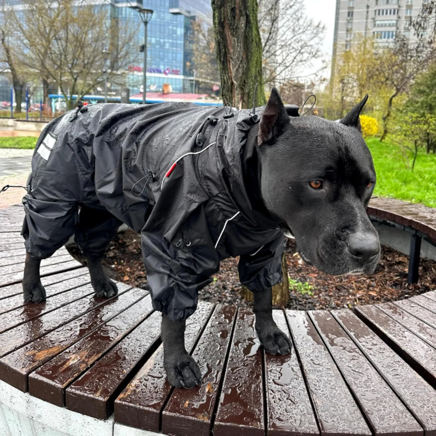 Full Body Dog Raincoat Adjustable Lightweight Windproof Waterproof Overalls for Large Medium Dogs, Your Stylish Hunter, 2XS