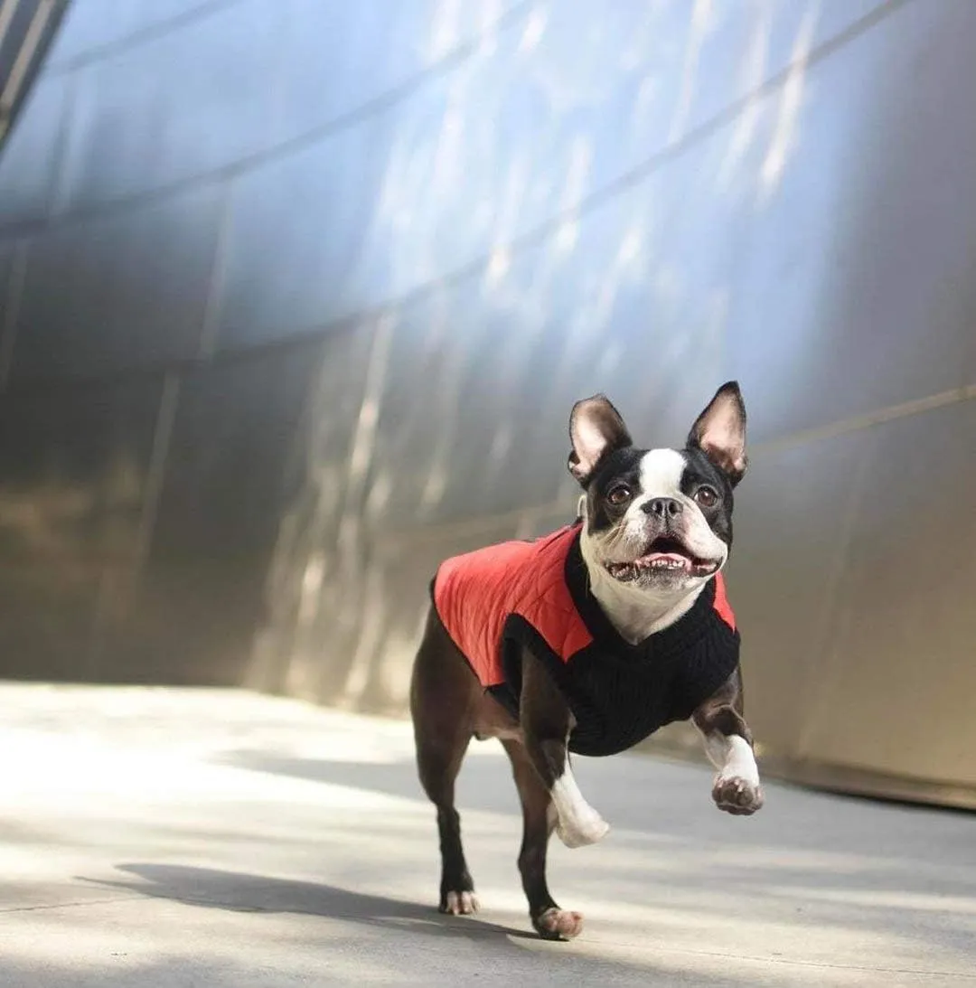 Gooby - Fashion Vest, Small Dog Sweater Bomber Jacket Coat with Stretchable Chest, Pink, Medium