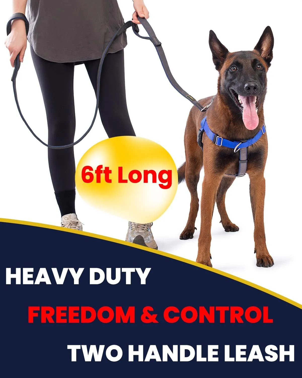 Heavy Duty Two Handle Dog Leash, Double Handles for Extral Control and Training, Dual Handles Leads, 6FT Long, Large Medium Small Dogs (Blue/Grey, 3/4'' X 6ft.)