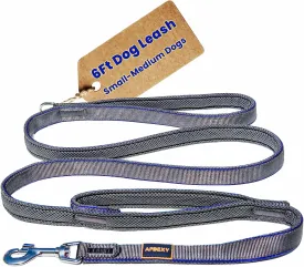 Heavy Duty Two Handle Dog Leash, Double Handles for Extral Control and Training, Dual Handles Leads, 6FT Long, Large Medium Small Dogs (Blue/Grey, 3/4'' X 6ft.)