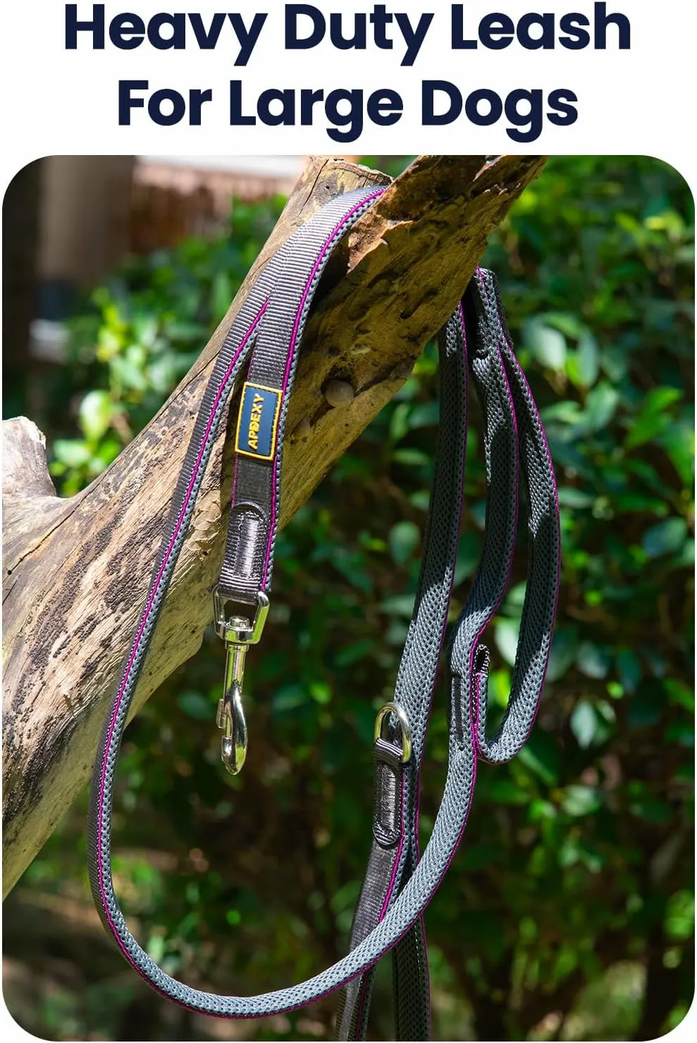 Heavy Duty Two Handle Dog Leash, Double Handles for Extral Control and Training, Dual Handles Leads, 6FT Long, Large Medium Small Dogs (Blue/Grey, 3/4'' X 6ft.)