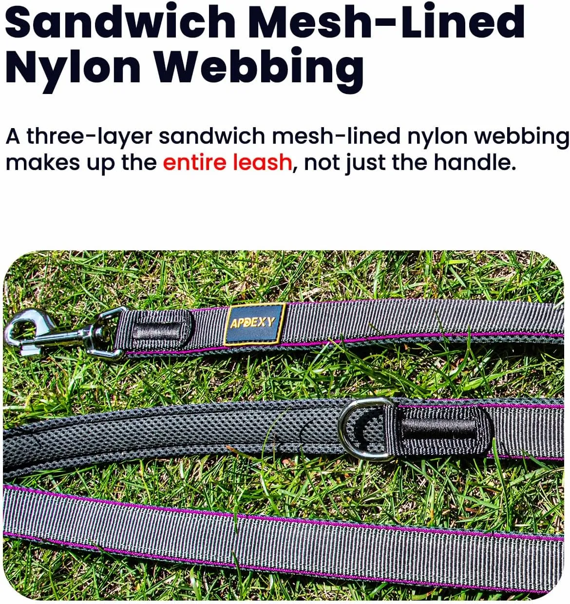 Heavy Duty Two Handle Dog Leash, Double Handles for Extral Control and Training, Dual Handles Leads, 6FT Long, Large Medium Small Dogs (Blue/Grey, 3/4'' X 6ft.)