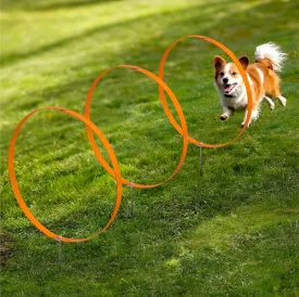 Navaris Dog Agility Training Hoops - 3-Pack 50cm Hoop & Stake Set - Jump and Tunnel Outdoor Equipment - Ring Jumps Agility Exercise for Pets - Ideal for Small & Medium-Sized Dogs