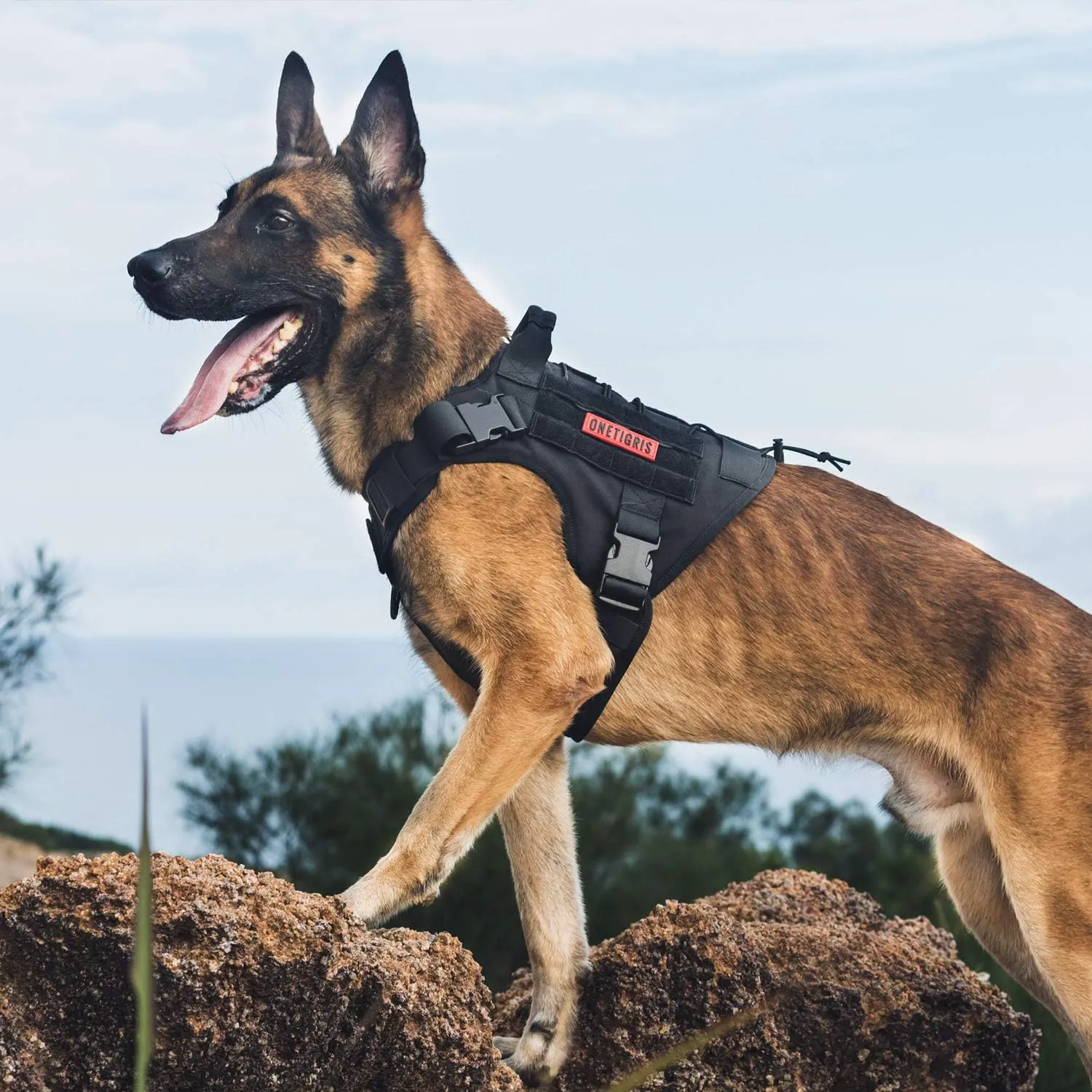 OneTigris Tactical Dog Harness Vest with Handle,Dog Harness for Large Dogs,No-Pull Service Dog Vest with Hook & Loop Panels,Adjustable Dog Vest Harness for Walking Hiking Training(Black,X-Large)