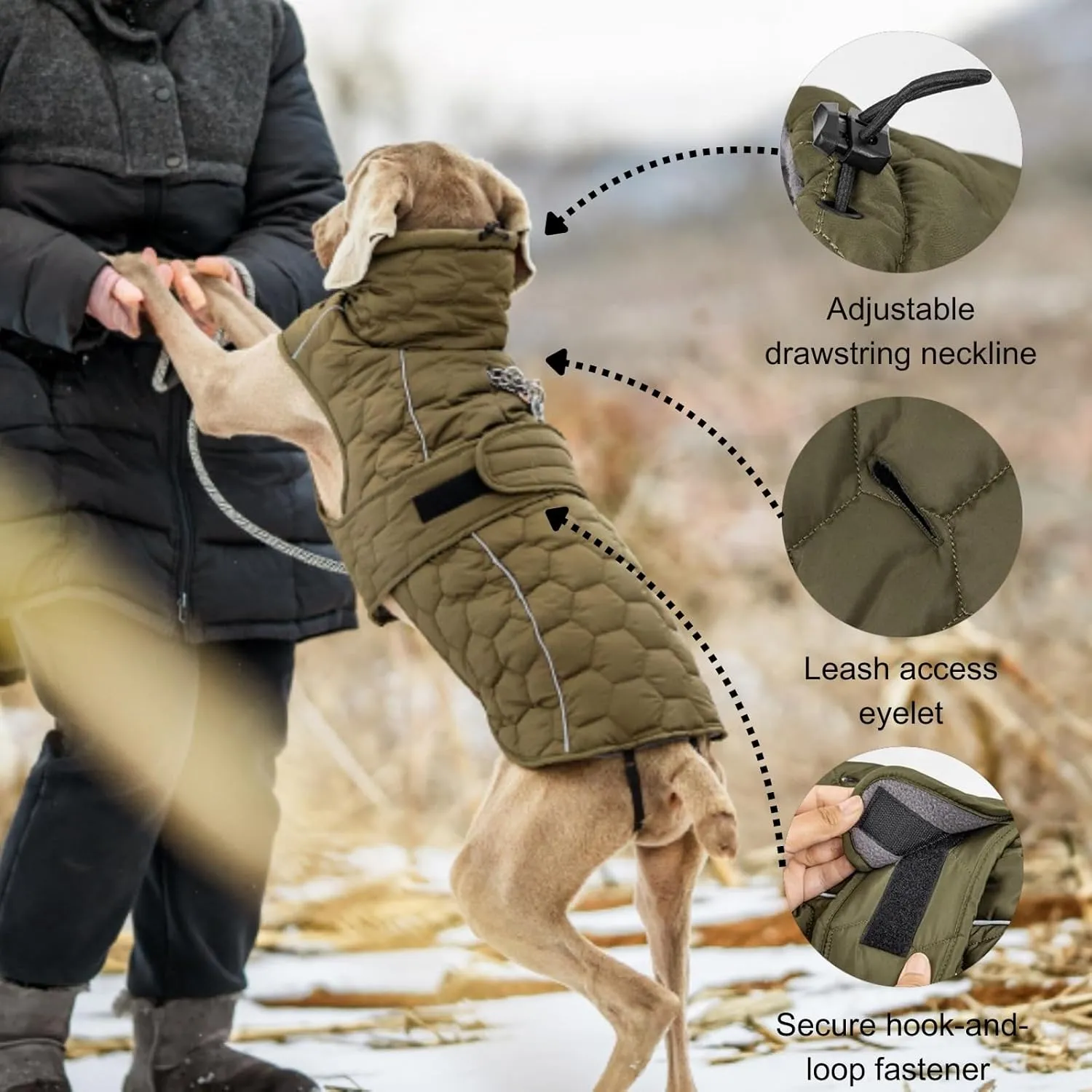 PawVouge Dog Winter Coat Thick Lining & Reflective Dog Jacket with Adjustable Neck and Leg Strap Waterproof Coat with Harness Hole for Small to Large Dogs (Green,Small)