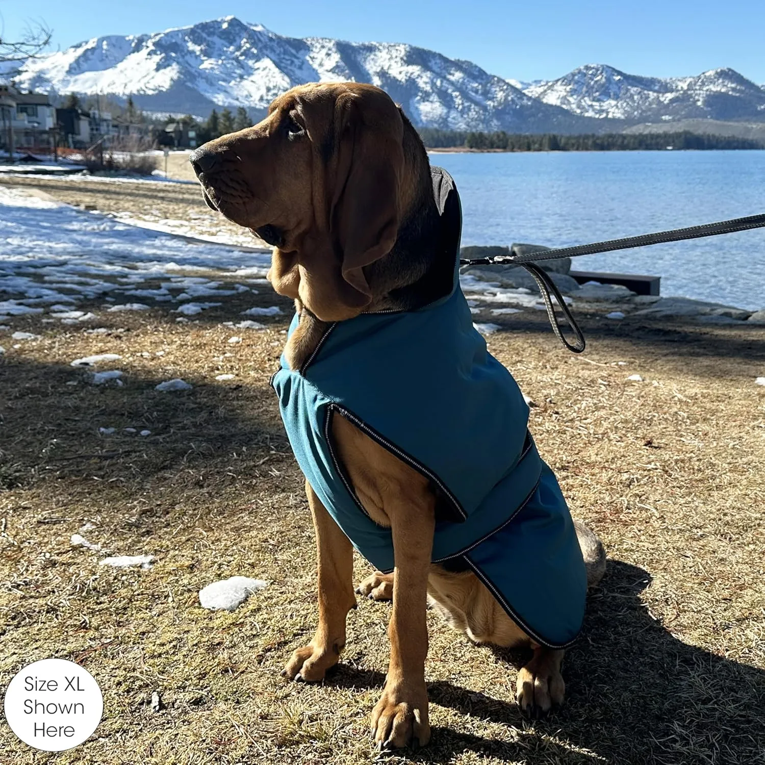 PetRageous 7303TS Juneau Waterproof Winter Coat with Full Chest Coverage and Dog Leash Opening - 11-Inch Long Heavyweight Jacket for Small Dogs and Puppies, Teal