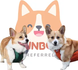 RainbowPreferred Waterproof Dog Belly Protector Belly Cover Raincoat Rain Jacket Belly Band Recovery Suite Apron for Dog Clothes Costume