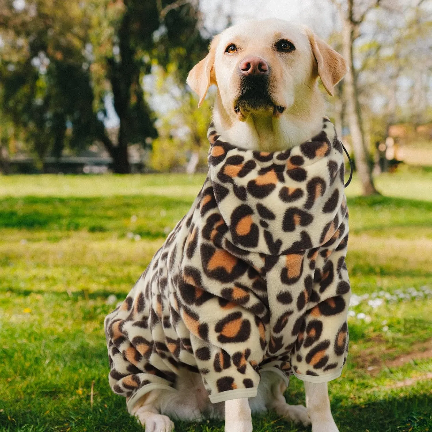 ROZKITCH Dog Winter Coat Soft Fleece Pullover Pajamas, Pet Windproof Warm Cold Weather Jacket Vest with Luminous Zipper, Jumpsuit Apparel Outfit Clothes for Small Medium Large Dog Brown 2XS