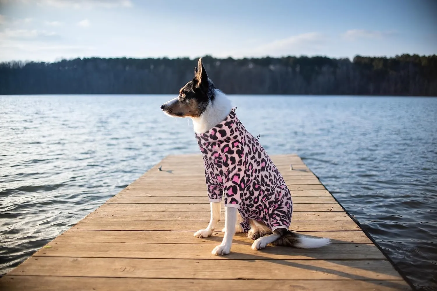 ROZKITCH Dog Winter Coat Soft Fleece Pullover Pajamas, Pet Windproof Warm Cold Weather Jacket Vest with Luminous Zipper, Jumpsuit Apparel Outfit Clothes for Small Medium Large Dog L-Pink 2XS