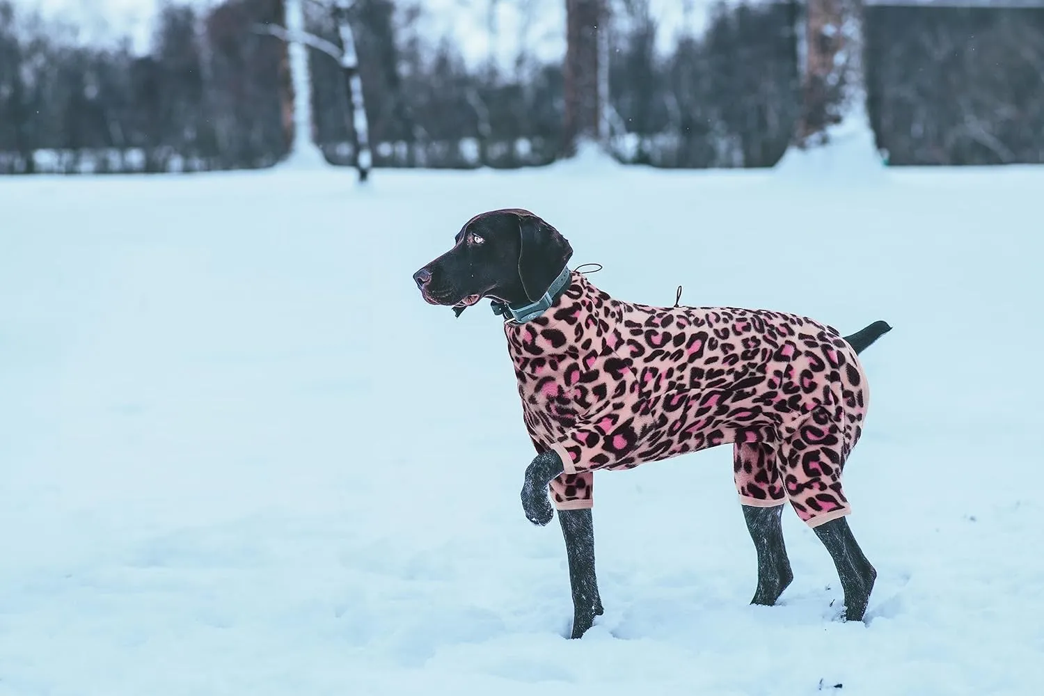 ROZKITCH Dog Winter Coat Soft Fleece Pullover Pajamas, Pet Windproof Warm Cold Weather Jacket Vest with Luminous Zipper, Jumpsuit Apparel Outfit Clothes for Small Medium Large Dog L-Pink 2XS